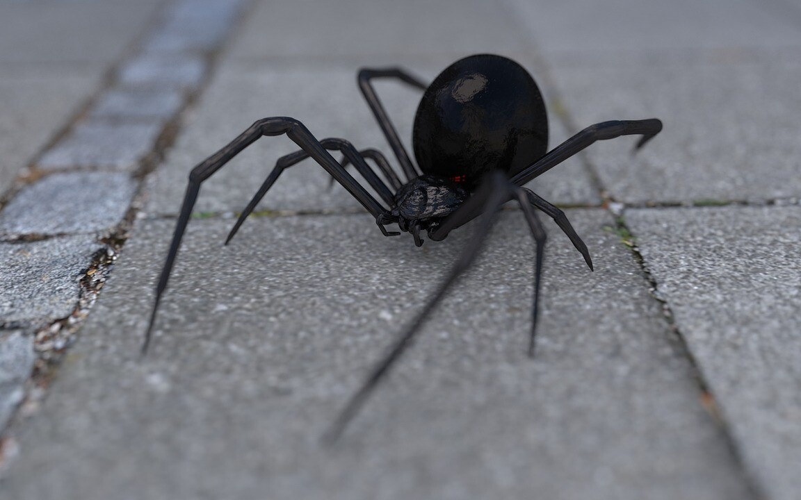 Schwarze Spinnen im 8er Set 6,5cm 