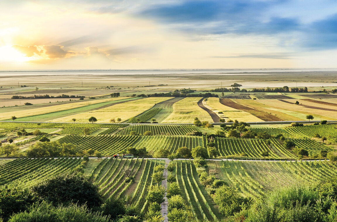 Burgenland per pedes • 50plus Magazin